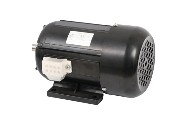 標(biāo)準(zhǔn)型電機