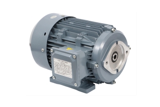 天津潤滑泵專用電機(jī)
