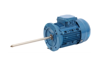天津不銹鋼長軸電機
