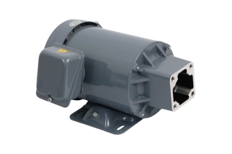 天津油泵專用電機(jī)