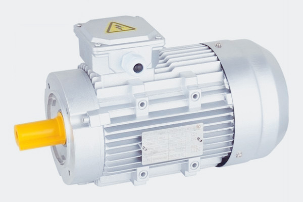 天津解析油泵專用三相交流電機高效穩(wěn)定運行的核心技術